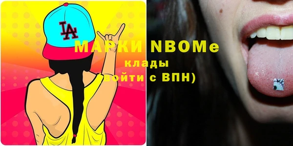 таблы Новозыбков