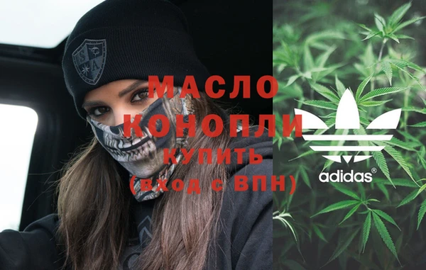 сатива Няндома