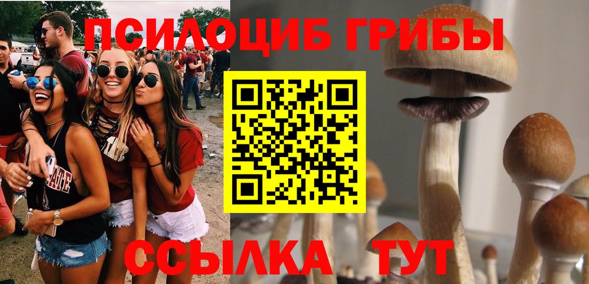 Конаково  Псилоцибиновые грибы мухоморы  Вход с VPN 
