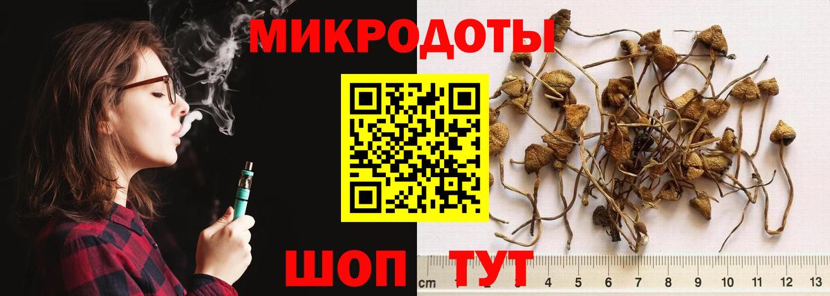 Псилоцибиновые грибы GOLDEN TEACHER Конаково